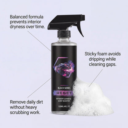 Series Gentle APC Formula 16oz Scented Automobile Cleaner - Interior Detailing Kit